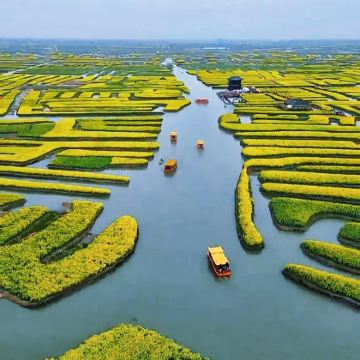 兴化李中水上森林公园+千垛景区一日游【赠送午餐12菜1汤】