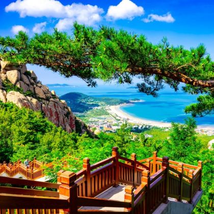 青岛崂山仰口太清导游精讲一日游/提供赶海工具【不满意全款退】