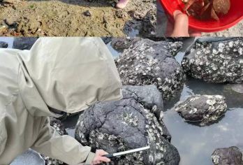 中国福建厦门小嶝岛一日游【去赶海吧 小嶝岛一日游】【品质出游】