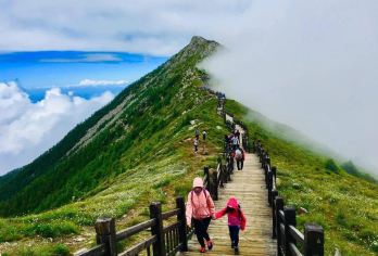 太白山森林公园直通车一日游【景区直通车，三、六、天发团】