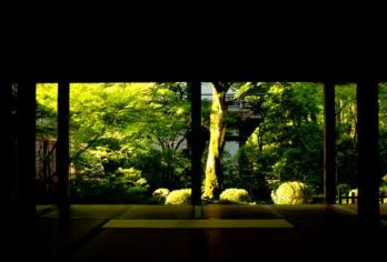 日本京都-琉璃光院-三千院-贵船神社-红叶满天 京都巡礼【专业行程定制，精选热门景点，高效游玩不走回头路，贴心服务保障，轻松】