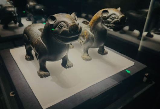 上海闵行博物馆/1.5小时大咖精讲/|丝路回响特展【[全程讲解]上海闵行博物馆1.5H ：探索自然与科技的核心叙事】