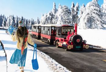 重庆仙女山国家森林公园一日游【送暖宝宝手套•定点接驳•纯玩】【[安心出游]全程纯玩不购物，不强制消费，直达景区，主城多区重点区域定点接驳 ，送暖宝宝+手套。】