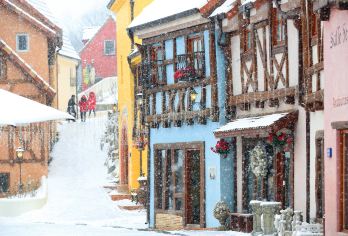 韩国南怡岛+小法国村意大利村一日游【首尔出发 • 中英导游】【四季浪漫南怡岛｜林荫大道绿意盎然，《冬季恋歌》取景地，春花秋枫冬雪如画，是情侣与家庭出游的热门选择。】