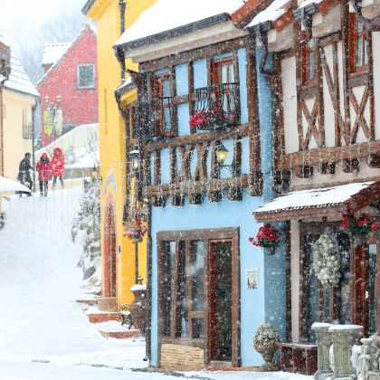 韩国南怡岛+小法国村意大利村一日游【首尔出发 • 中英导游】