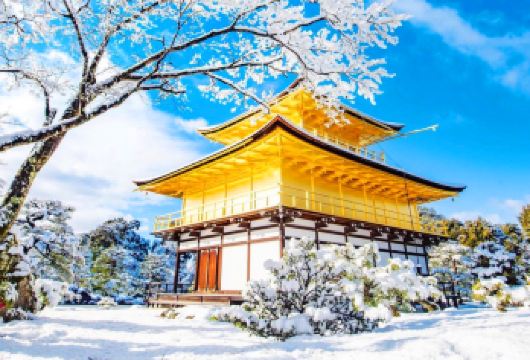 京都清水寺+二三年坂+金阁寺+伏见稻荷大社，千年京都一日游【京都深度游不留遗憾，可穿上日本传统和服漫步京都古寺大街小巷，让华丽的回忆停留在这一瞬间】