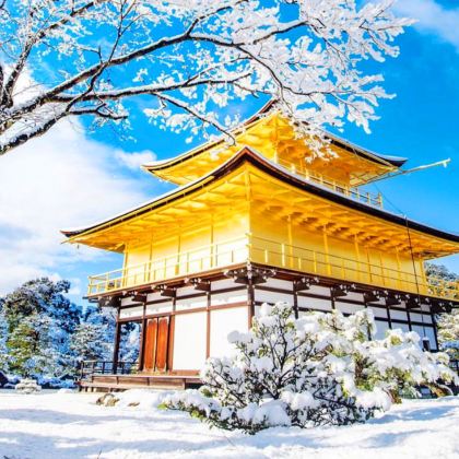 京都清水寺+二三年坂+金阁寺+伏见稻荷大社，千年京都一日游