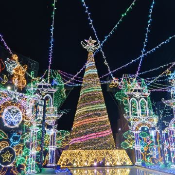 河口湖4个人气打卡地+相模湖灯光秀 (东京出发, 冬季限定)