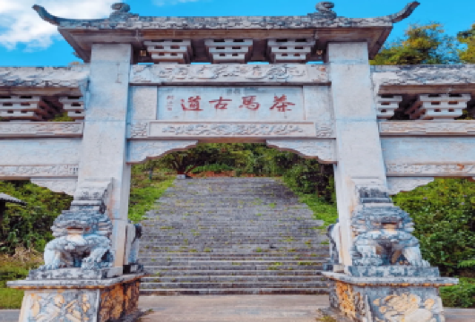 【2-8人纯玩拼小团】普洱茶马古道遗址公园+咖啡庄园一日游【[懒人友好]2-8人纯玩拼小团，上门接送，游玩时间充裕，一日之内打卡茶咖文化】