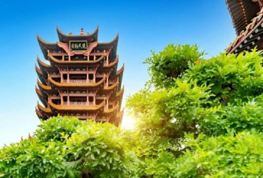 武汉+黄鹤楼+湖北省博物馆+东湖+武汉大学+户部巷一日游【东湖+湖北省博物馆/美术馆+打卡武汉大学门牌+黄鹤楼+武汉长江大桥+散团点(江汉关)】