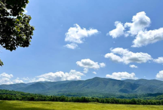 美国亚特兰大-大烟山国家公园-森林徒步【中文专车-悦享旅程】【中文专车出行，景点灵活调整，打卡经典，游玩自己定义，无需等待，专属贴心服务，尽享惬意旅程】