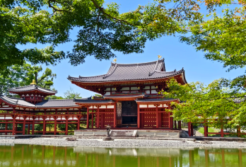 大阪出发奈良宇治一日游丨平等院+唐提招寺+奈良公园｜9人小团【宇治抹茶品鉴 + 奈良鹿群互动 + 唐招提寺文化探访，多元体验融合】