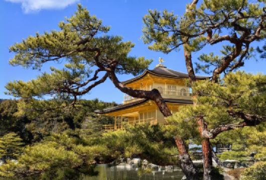 日本京都金阁寺+贵船神社一日游【中文包车/京都&大阪往返】【尊享一对一高端行程定制，豪华包车专属礼遇，专业旅行顾问24小时恭候垂询。】