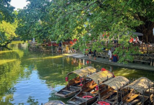 私家小团上门接送|佛山标志景点+顺德欢乐海岸PLUS一日游【[游顺德精华景点]“广东小庄周”逢简水乡，“美食聚集地”华盖路步行街，顺德网红地标-华侨城欢乐海岸】