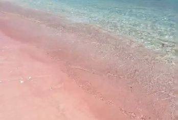 墨西哥坎昆粉红湖+火烈鸟+坎昆海滩【私家包车+南美全线定制】【尊享一对一高端行程定制，多日豪华包车专属礼遇，专业旅行顾问24小时恭候垂询。】