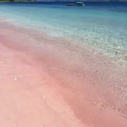 墨西哥坎昆粉红湖+火烈鸟+坎昆海滩【私家包车+南美全线定制】