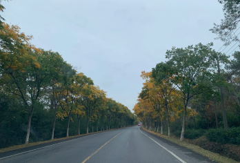 赴茅山赏秋，把山野诗意装进口袋【纯玩无购物，全程无隐形消费，专注沉浸式游玩体验。】