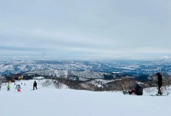 中国+河北张家口+云顶滑雪场+上门接送/可定制行程【中文司机专车VIP服务，一单一团，上门接送。】