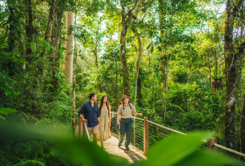【陪同讲解】凯恩斯库兰达热带雨林中文一日游 火车缆车雨林公园【多样化套餐可自由选择，缆车 火车 热带公园等景点自由搭配 更有含午餐套餐更省心】