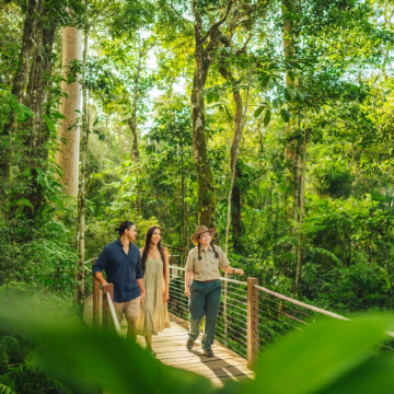 凯恩斯库兰达热带雨林中文一日游 可选火车缆车雨林公园