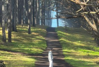 美国洛杉矶出发-一号公路蒙特雷-旧金山结束-可包车-精选【专属客服和本地中文司机，一家一团包车】