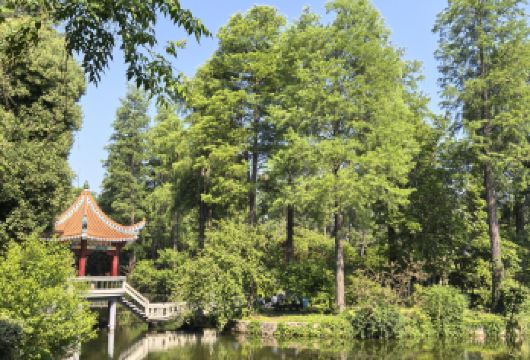 武汉植物园科考研学半日营：走进国家战略资源圃，解码植物智慧【在专类园的集中展示中，系统学习植物分类知识，直观感受生命形态多样性，建立宏观的植物王国认知框架。】