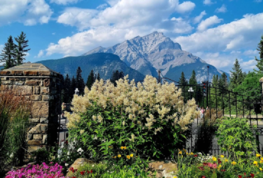 加拿大卡尔加里班夫国家公园-露易丝湖【中文专车-惬意舒适】【中文专车出行，行程自己定义，无需等待，专属贴心服务，尽享惬意旅程】