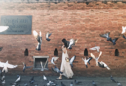 清迈市区网红景点一日游+爱丽丝梦幻仙境咖啡馆|上门接送【[精致小团]中文导游|市区酒店接送|人文探索|初来必打卡景点】