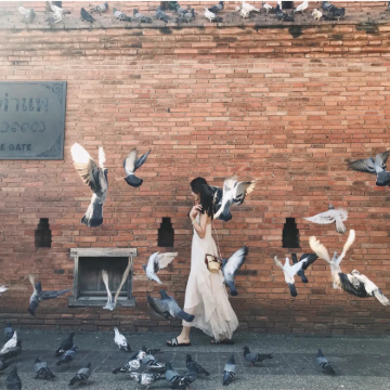 清迈市区网红景点一日游+爱丽丝梦幻仙境咖啡馆|上门接送