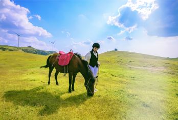 仰天湖大草原+高椅岭旅游区一日游【免费接送站/门票+往返车】【省心纯玩，门票全含，无隐形消费】