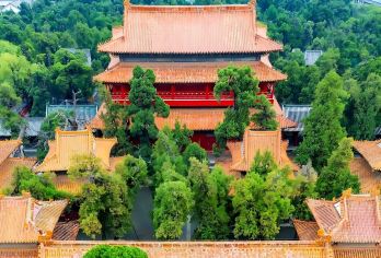 曲阜孔庙+孔府一日游【大鲁说】三孔精讲|专属定制·随约随发【[玩的嗨心]免费提供高清蓝牙无线耳麦听讲解，抛开嘈杂，聆听历史的变迁和儒家两千多年历史文化】