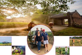 河内一日吉普车之旅，探索阳林古村落【这种沉浸式体验让你能够直接与当地人互动，了解越南籍的历史、文化和日常生活。 探索越南籍乡村宁静祥和的景色。 远离城市里挤满游客的餐馆，尽情享受正宗越南籍美食的美味。】