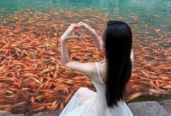 国庆限时不涨价·楠溪江+陶公洞+丽水古街+苍坡古村包车1日游【车辆正规营运车辆，手续齐全，干净卫生，更宽，更舒服；】