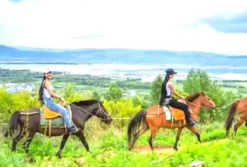 丽江拉市海茶马古道一日游【8人内纯玩小团+自由选择出行时间】【随心出行：轻松游玩，自然醒后再出发，多段出行时间，可选出发时间[9-14点]纯玩小团】