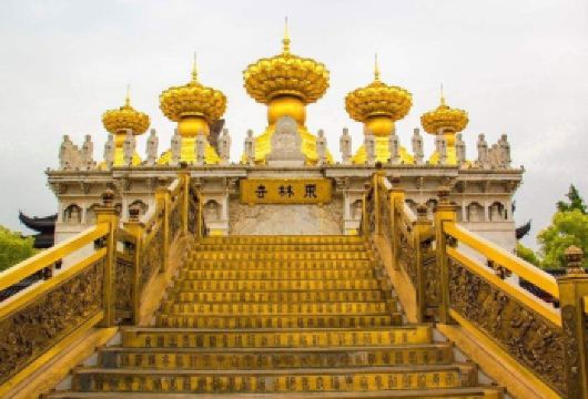 上海东林寺+枫泾古镇+花开海上生态园一日游感受上海美丽的四季【专车接送/行程可定制】