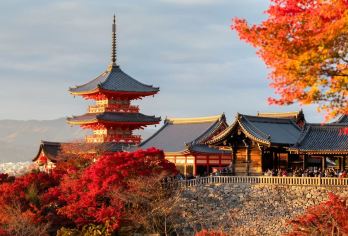 【行程随心】关西1日定制包车-京都/神户/奈良/和歌山均适用【日本全境均可安排专属定制包车，全程中文司机】