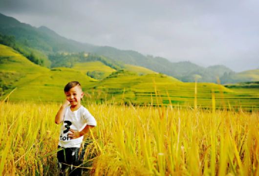 拼团｜包团龙脊梯田景区黄洛+金坑【新车全职司机向导告别外包拼车，我们以自营的全新车队和全职司机向导，保障行程的每一公里】