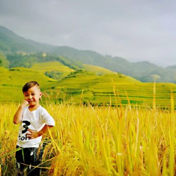 拼团｜包团龙脊梯田景区黄洛+金坑