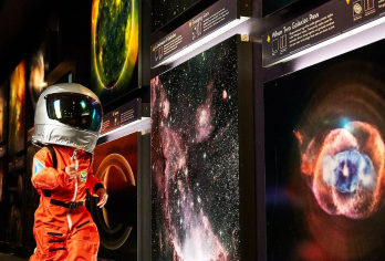 美国波士顿|哈佛大学+麻省理工大学+科学博物馆+邦克山纪念碑【[中文包车服务]全程独立用车！不拼团！拒绝与陌生人拼团，私密空间更自在，行程节奏完全由你掌控。】