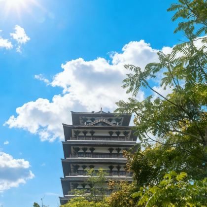 四川资阳半月山大佛+字库山公园+三贤文化公园一日游英文服务