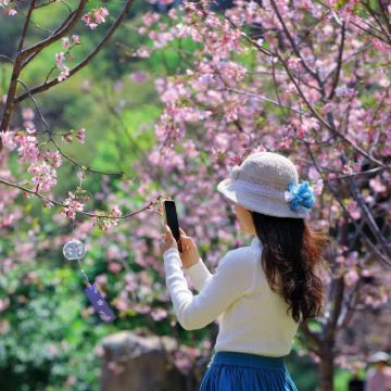 含门票车费+肇庆鼎湖山+七星岩+古城墙一日游+私家独立小包团