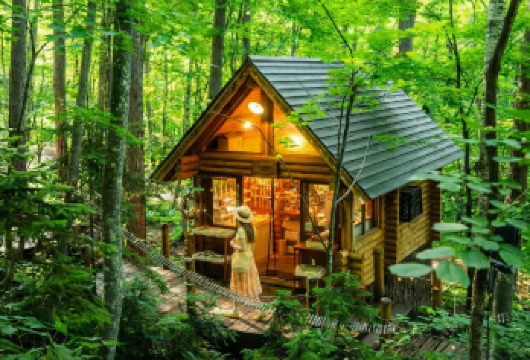 日本夏季北海道：旭山动物园·青池·白须瀑布·精灵露台一日游【夏季北海道人气路线，一天打卡旭山动物园与富良野经典美景。】