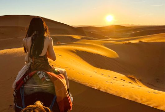 埃及赫尔格达沙漠一日游【撒哈拉日落红海冲沙+骑骆驼贝都因】【[多款出行套餐可选]总有一款适合您】
