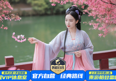 杭州雷峰塔+西湖游船+灵隐寺一日游【官方自营丨10/20人小团丨含自助午餐丨含宋代点茶ღ手绘团扇】