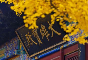 10人团丨杭州灵隐寺飞来峰半日游含门票讲解ღ可选抄经品茶素斋【[一价全含]不收二次门票ღ包含灵隐寺香花券+飞来峰大门票+寺庙三支清香】