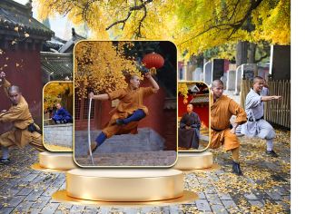 登封少林寺一日游【武术表演、常住院、塔林天天发班】【全天游禅宗少林，武术表演、常住院、塔林一价全包，自由活动有更多选择】