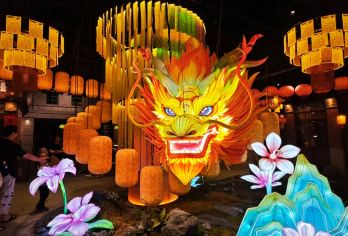 【16人团】厦门屿见闽南+海上明珠塔一日游•含门票+接送司导【[一价全包·省心无忧] 含景区通票+岛内酒店专车接送，0自费0隐藏消费，免排队购票】