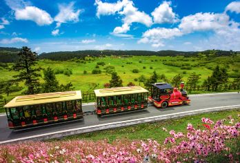 重庆出发：武隆天生三桥+仙女山国家森林公园一日游纯玩·无购物【实惠大巴团（含餐），定点上车，性价比高】