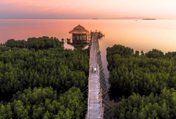 薄荷岛日落与故事：薄荷岛夜间逃逸之旅【当白昼渐渐暗淡下来，您可以在这令人难忘的迷人竹林漫步中放松身心，周围环绕着红树林和观景台。 您可以选择在水边喝杯鸡尾酒或享用一顿当地风味的晚餐来结束美好的一天。 结束这日游，体验进入一个通过薄荷岛秀的舞蹈、音乐和故事讲述而变得生动的海洋世界】