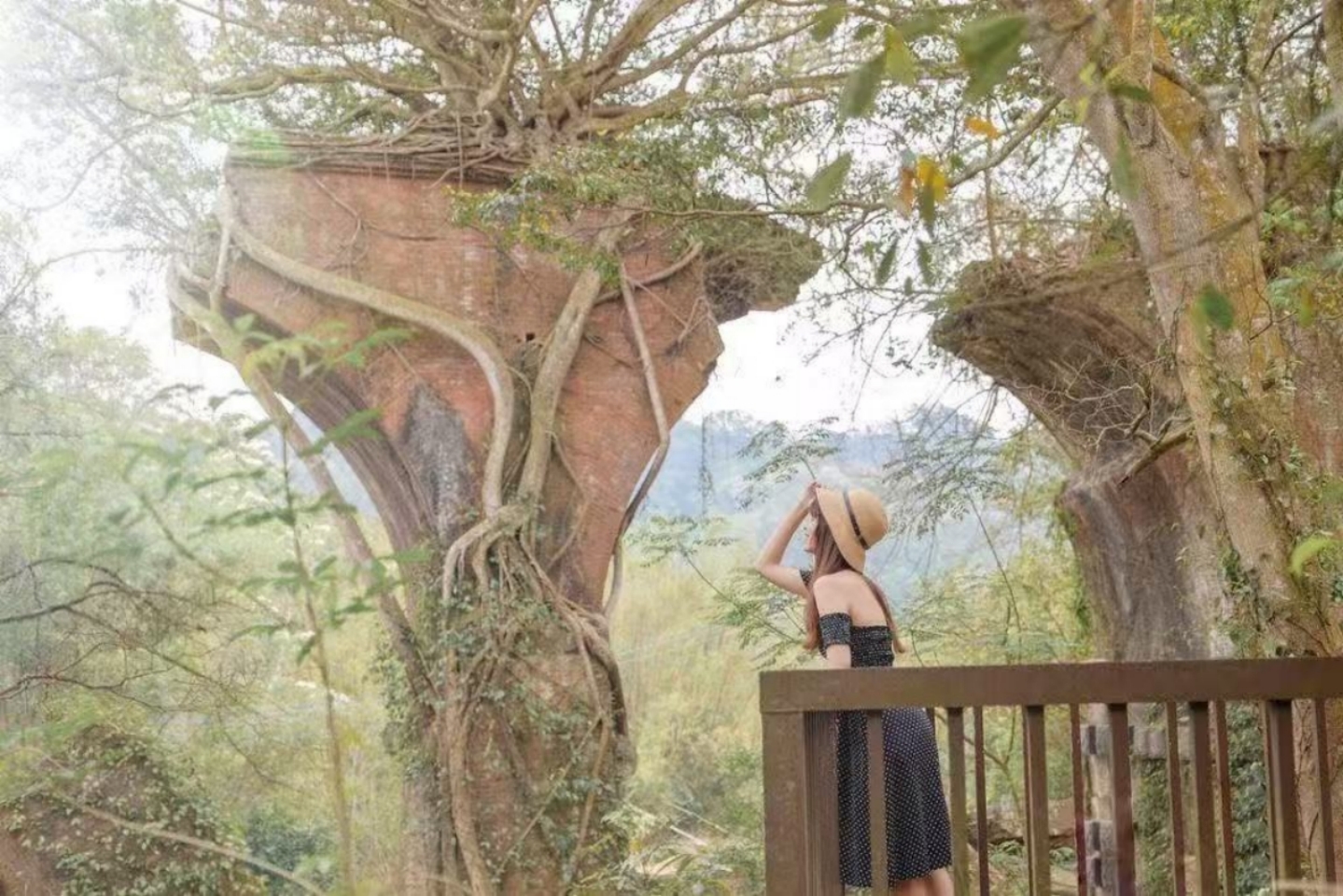 苗栗三韵.人文散策～桂花巷+木雕博物馆+山线铁道自行车一日游